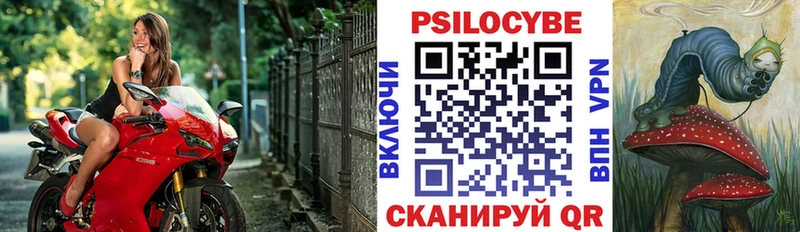 Купить  Северодвинск  Псилоцибиновые грибы Cubensis 